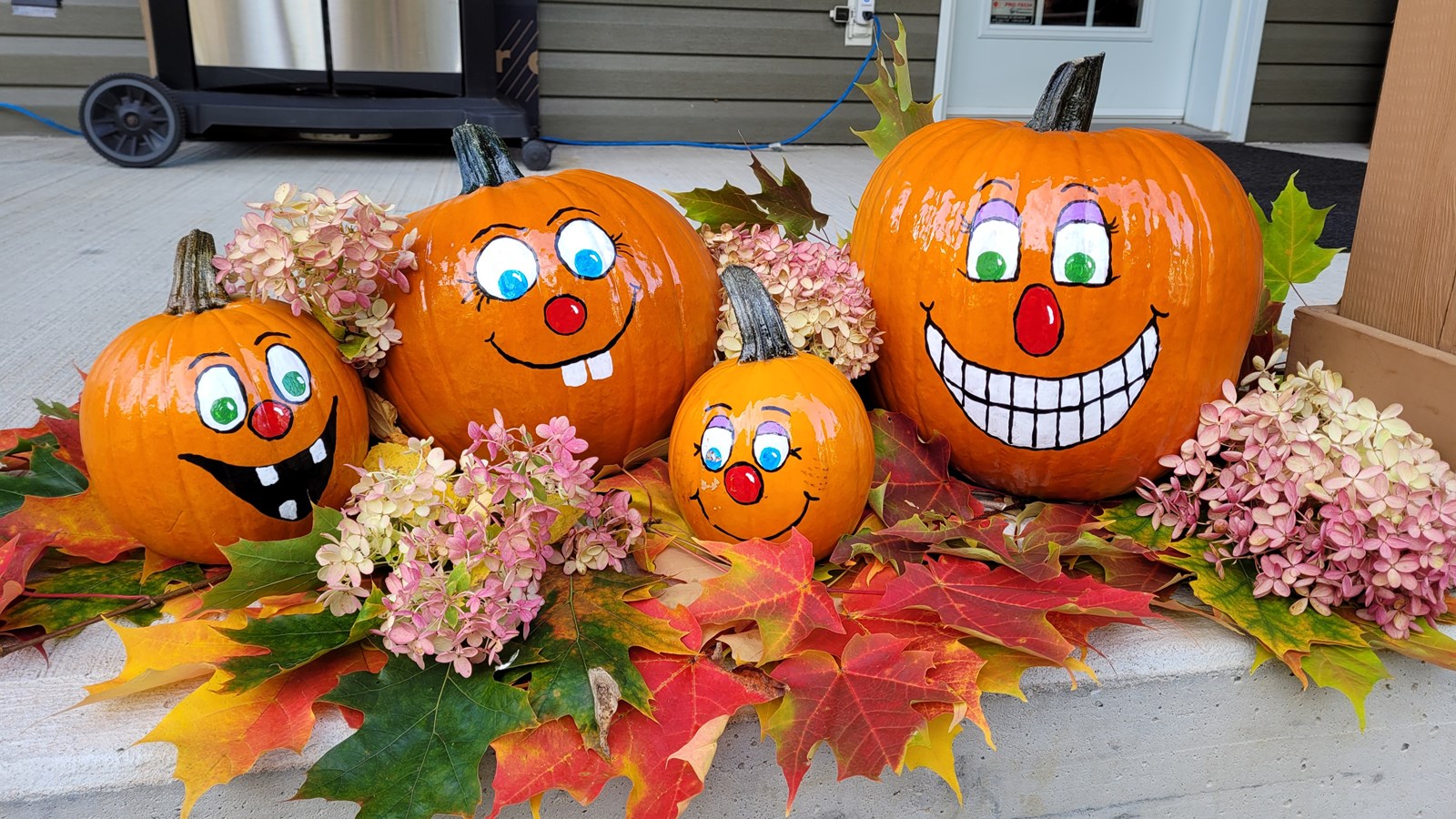 Collecte de bonbon halloween a laval