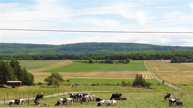 La Financière agricole du Québec dresse le bilan de l’assurance récolte