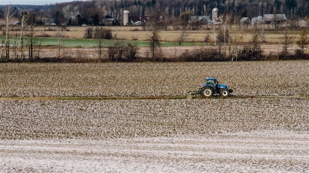 La Financière agricole du Québec révèle son bilan de misaison  L'Écho